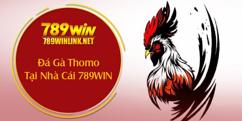 Lý Do Đá Gà Thomo Tại Nhà Cái 789WIN Được Ưa Chuộng
