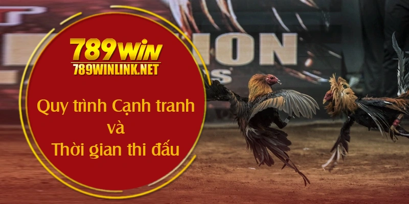 Quy trình Cạnh tranh và Thời gian thi đấu